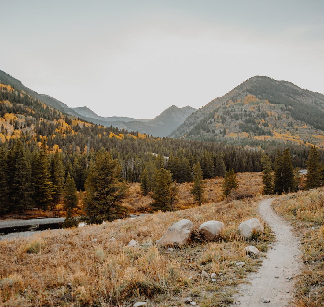 Organic Cotton Fitted Sheet for Lotus Everywhere Travel Crib Guava Family